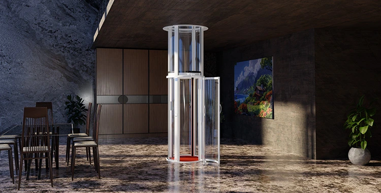 What Type of Elevator would be Suitable for Domestic Purposes?